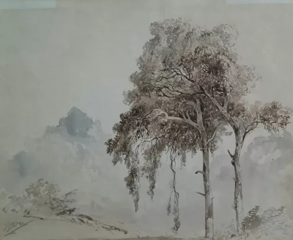 Boslandschap Twee bomen. Ongedateerd.