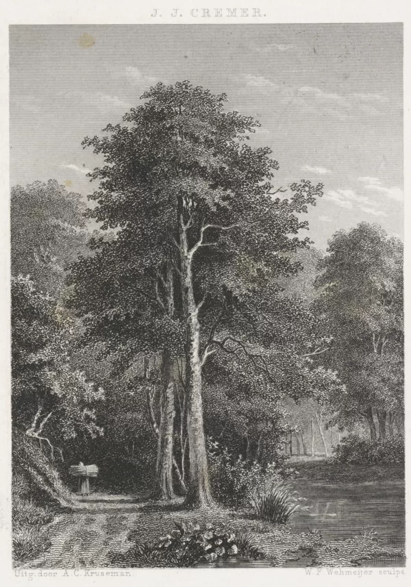 Bosgezicht. Gravure op basis van tekening uit 1852.