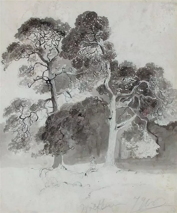 Duizend jarige den Wolfheze. Tekening ca. 1850.